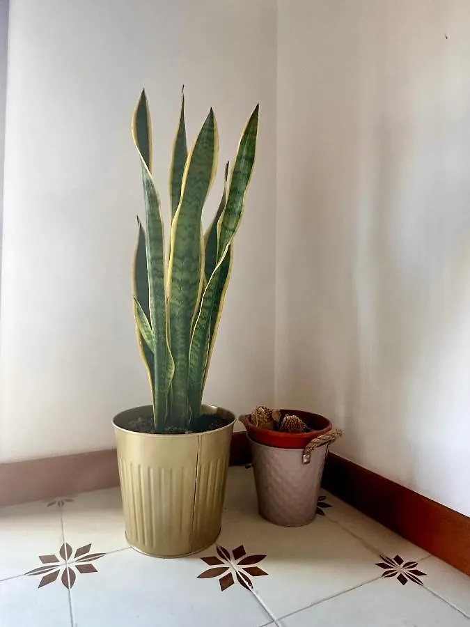 En Pleno Centro, Super Coqueto Y Perfecto Para 2, Málaga Appartement